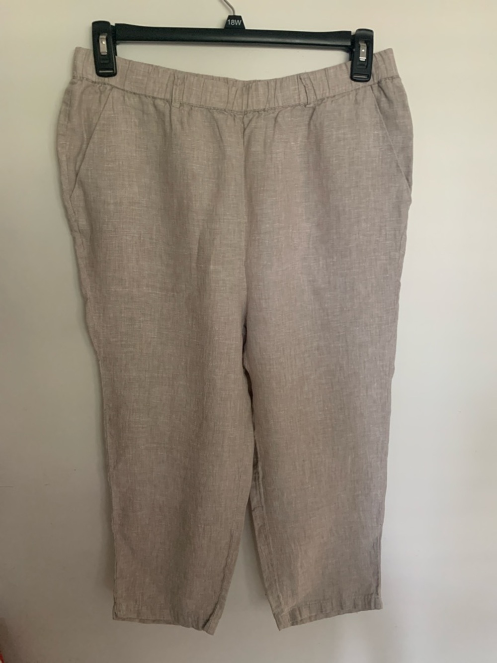 Quince Linen-Blend Ankle Pants in Light Beige